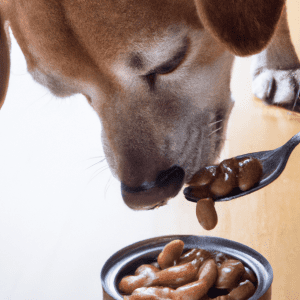 Read more about the article Can dogs eat cannellini beans