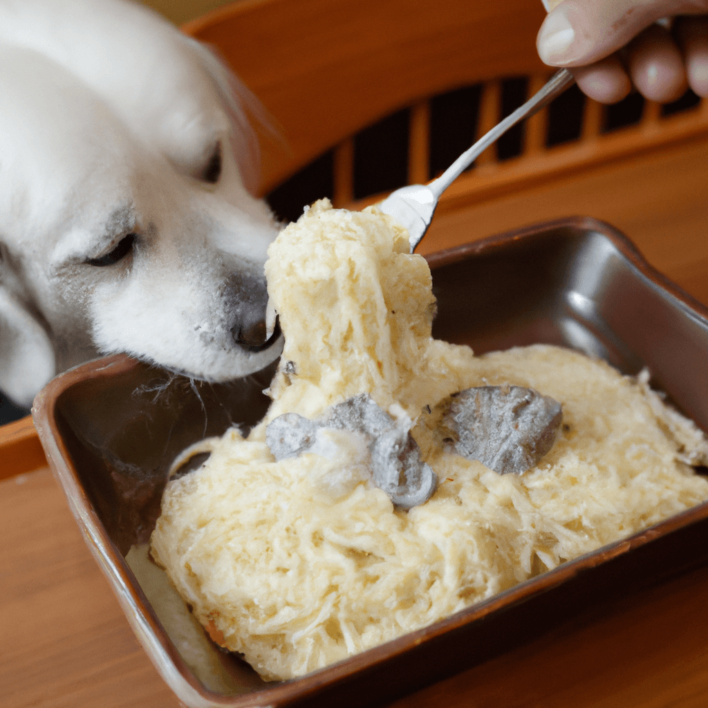 Read more about the article Can dogs eat chicken alfredo