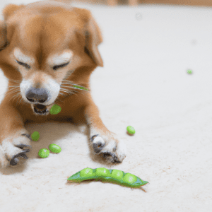 Can dogs eat edamame skin