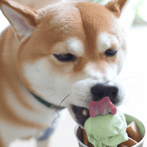 Read more about the article Can dogs eat mint ice cream