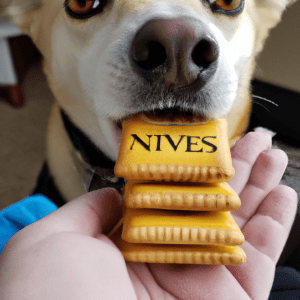 Can dogs have nilla wafers